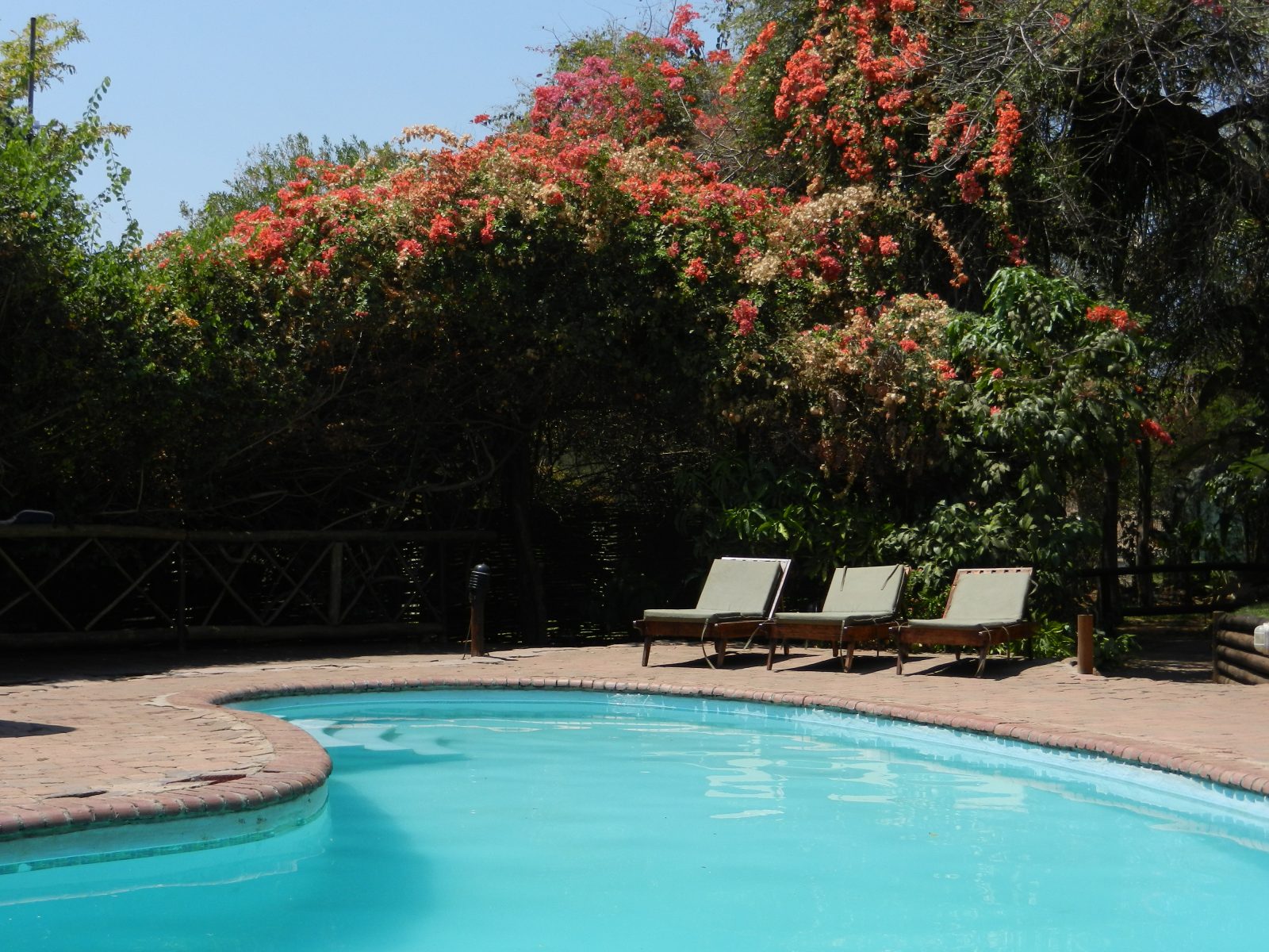 water lily hotel kasane