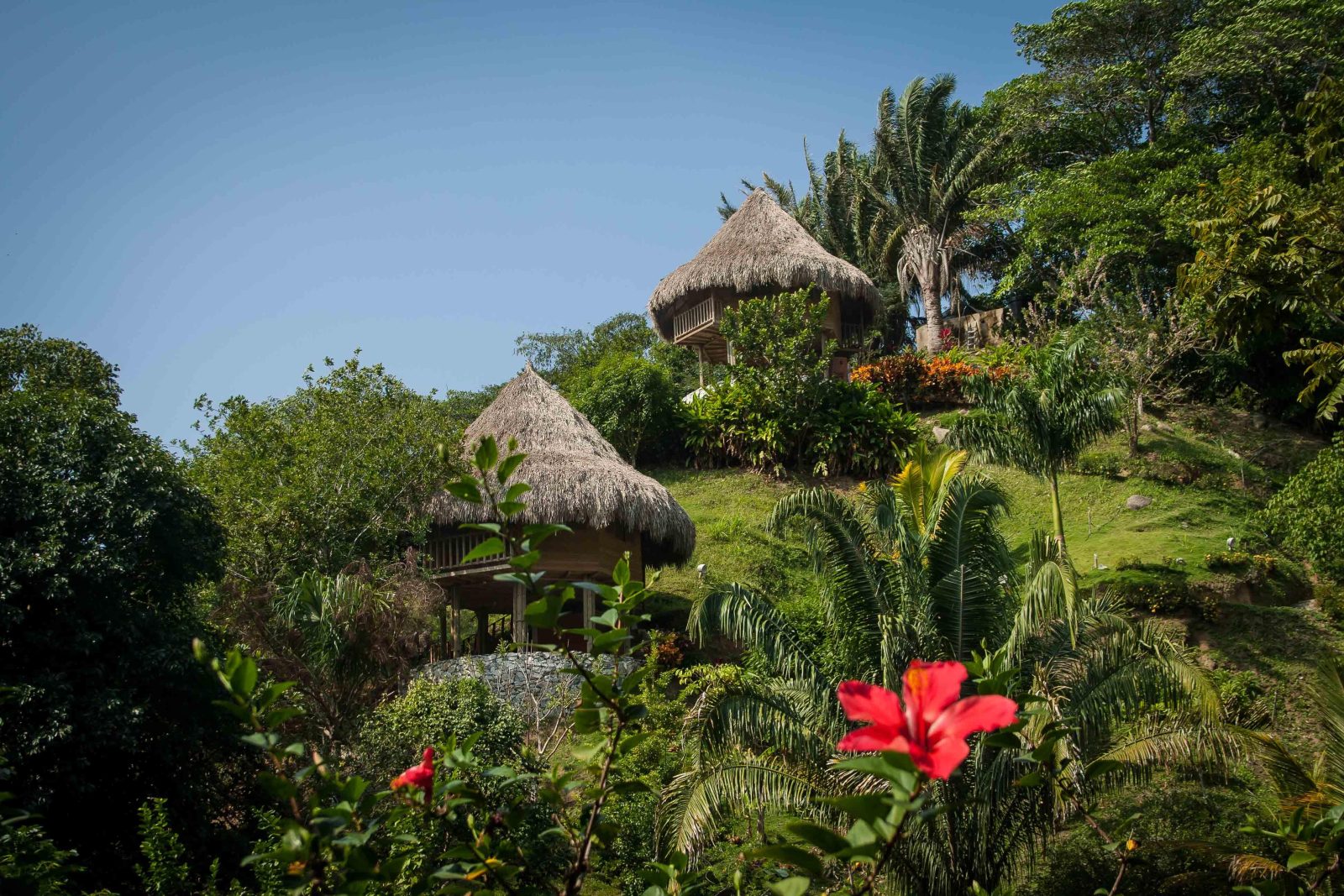 Bosques Del Tayrona EcoHabs