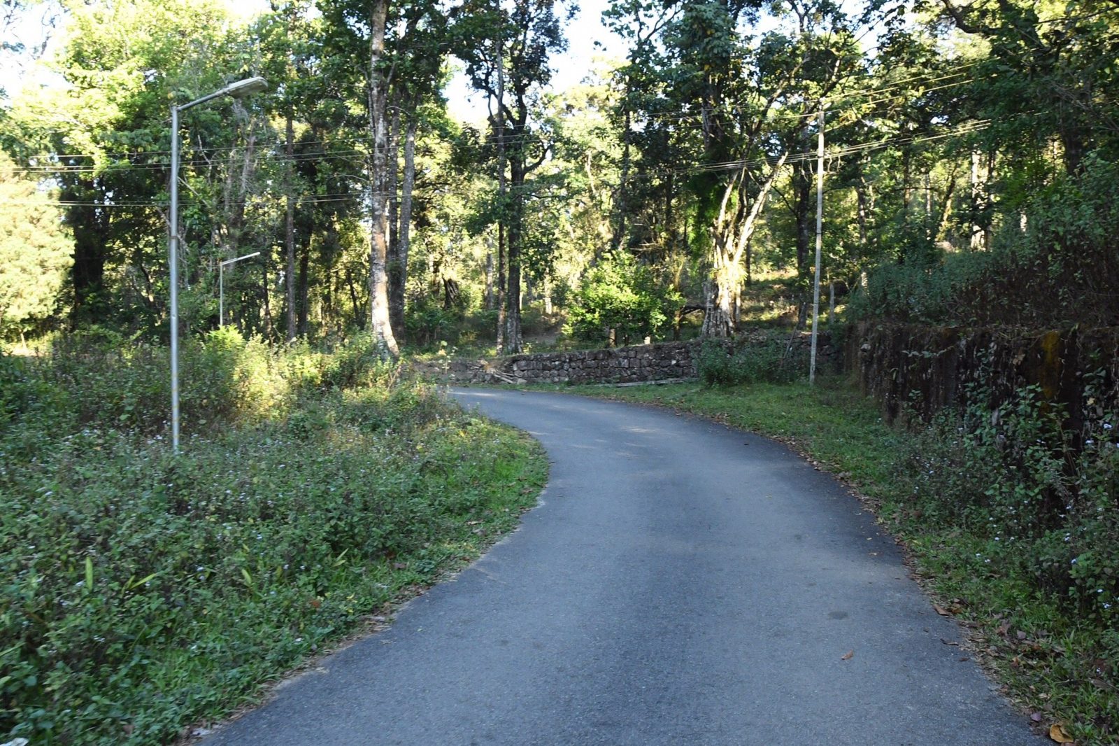 Rainforest Munnar Resort