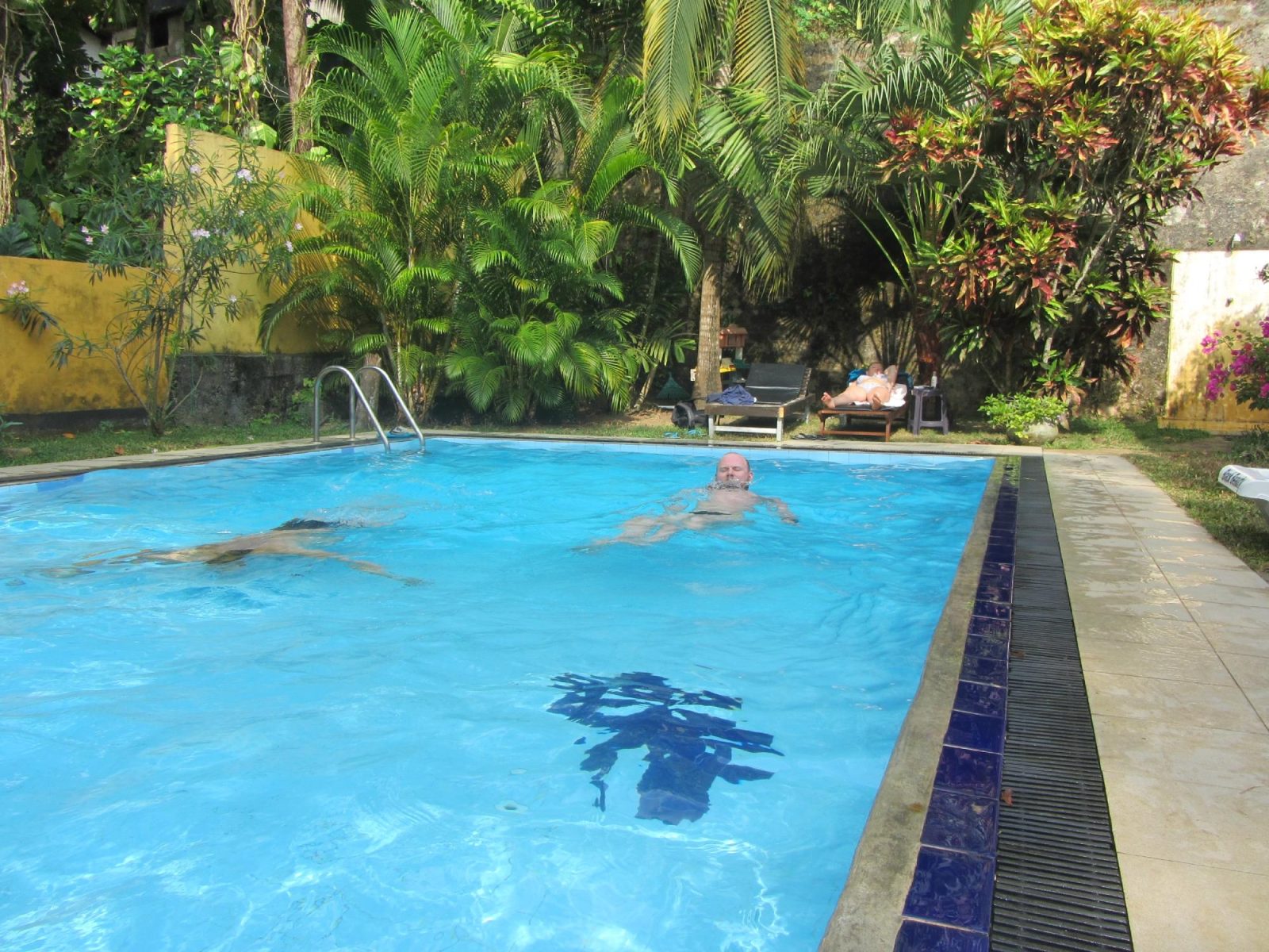 Black Beauty Guesthouse