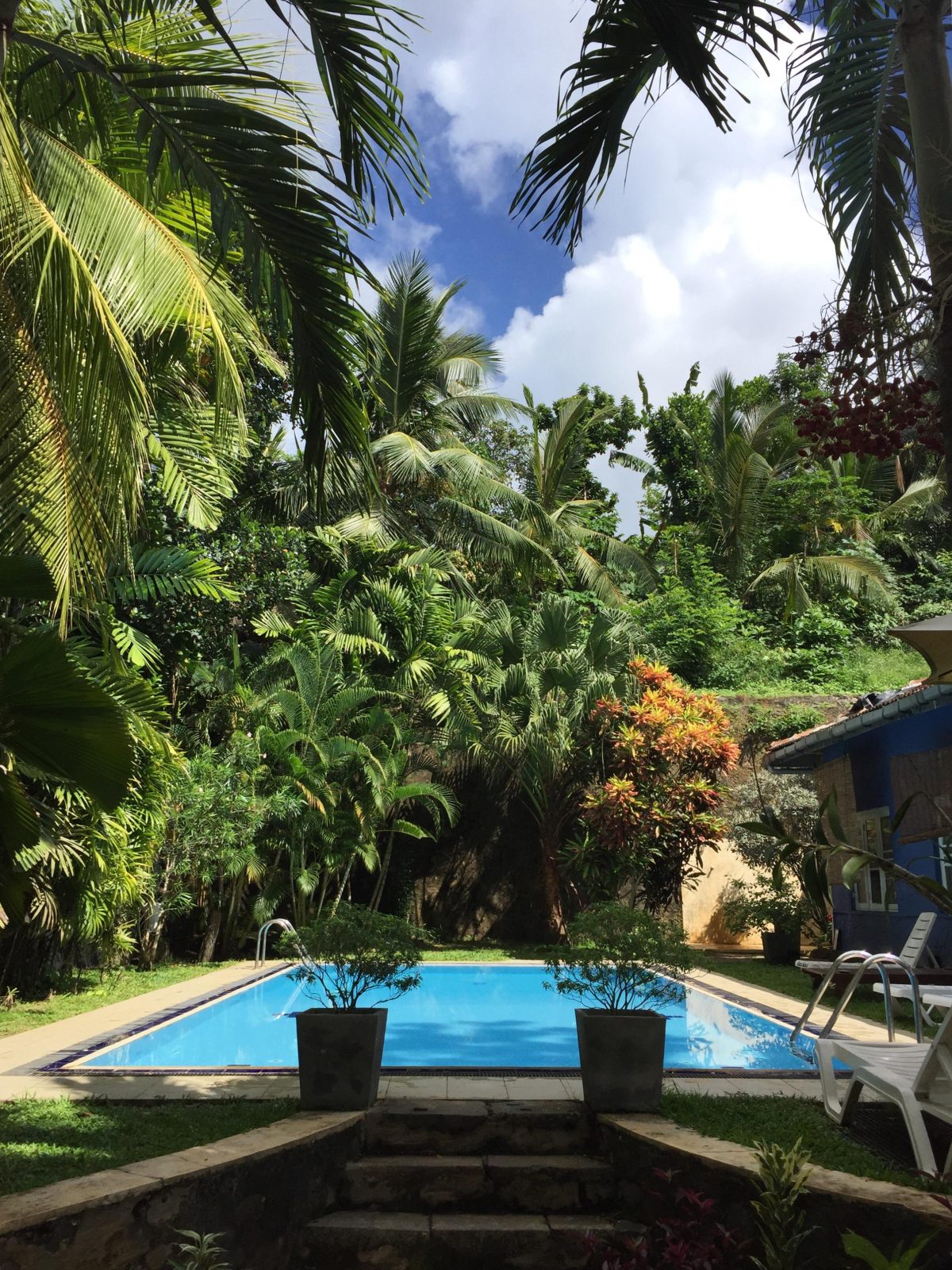 Black Beauty Guesthouse