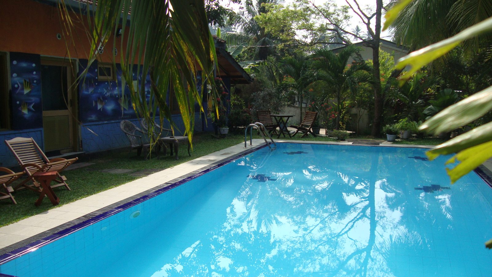 Black Beauty Guesthouse