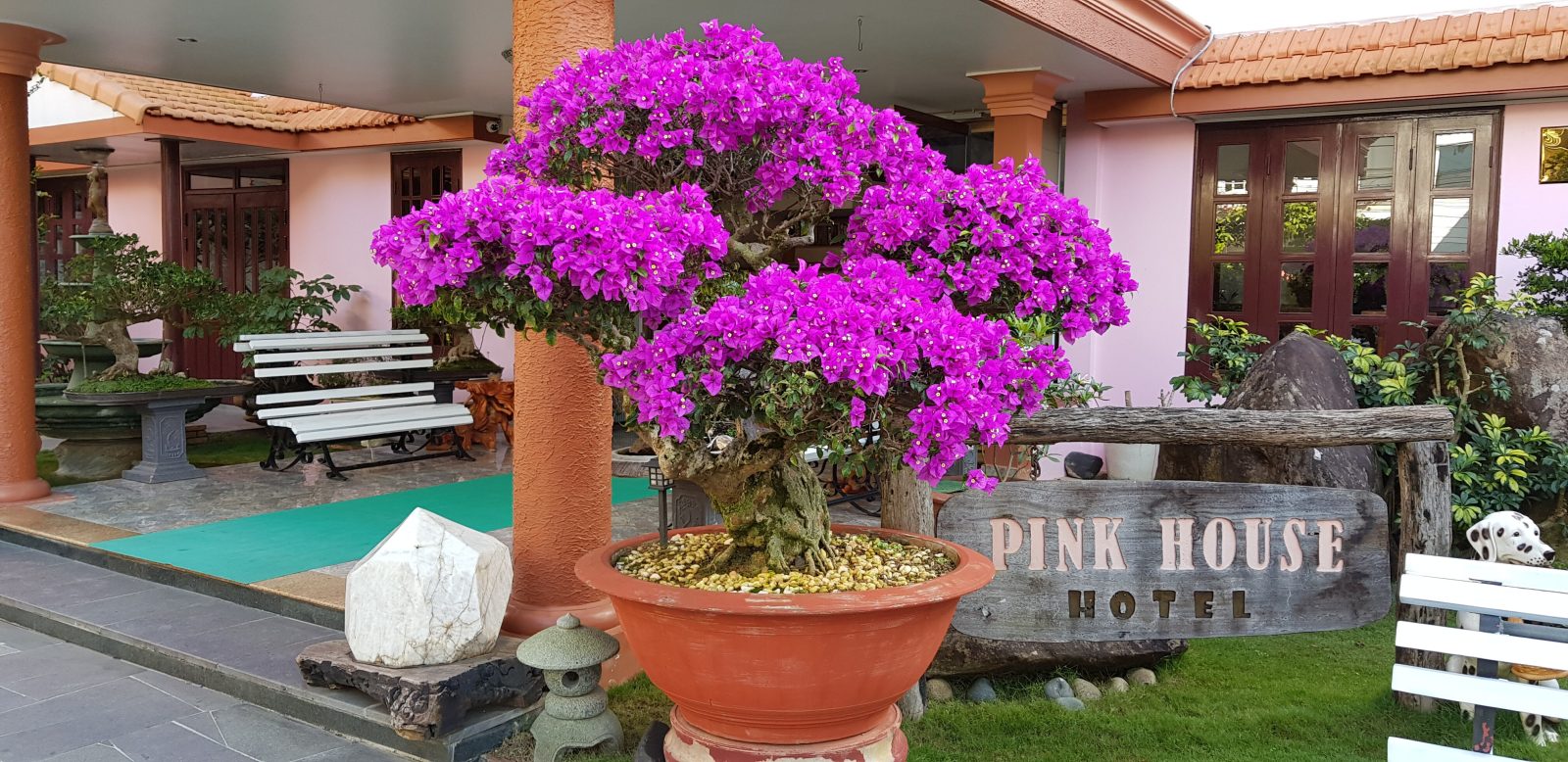 villa pink house hotel dalat