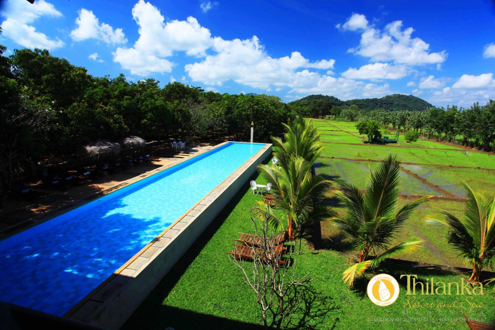 thilanka hotel dambulla