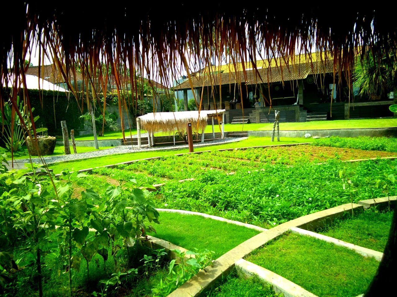 Villa Camillia Bali