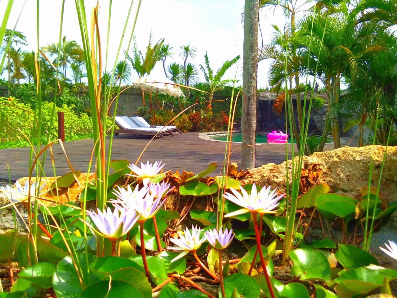 Villa Camillia Bali