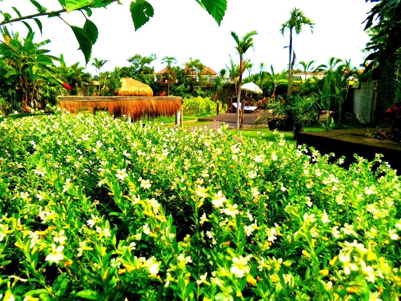 Villa Camillia Bali