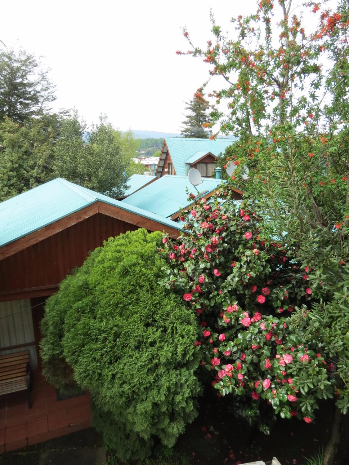 Cabanas y Hotel la Palmera Pucon
