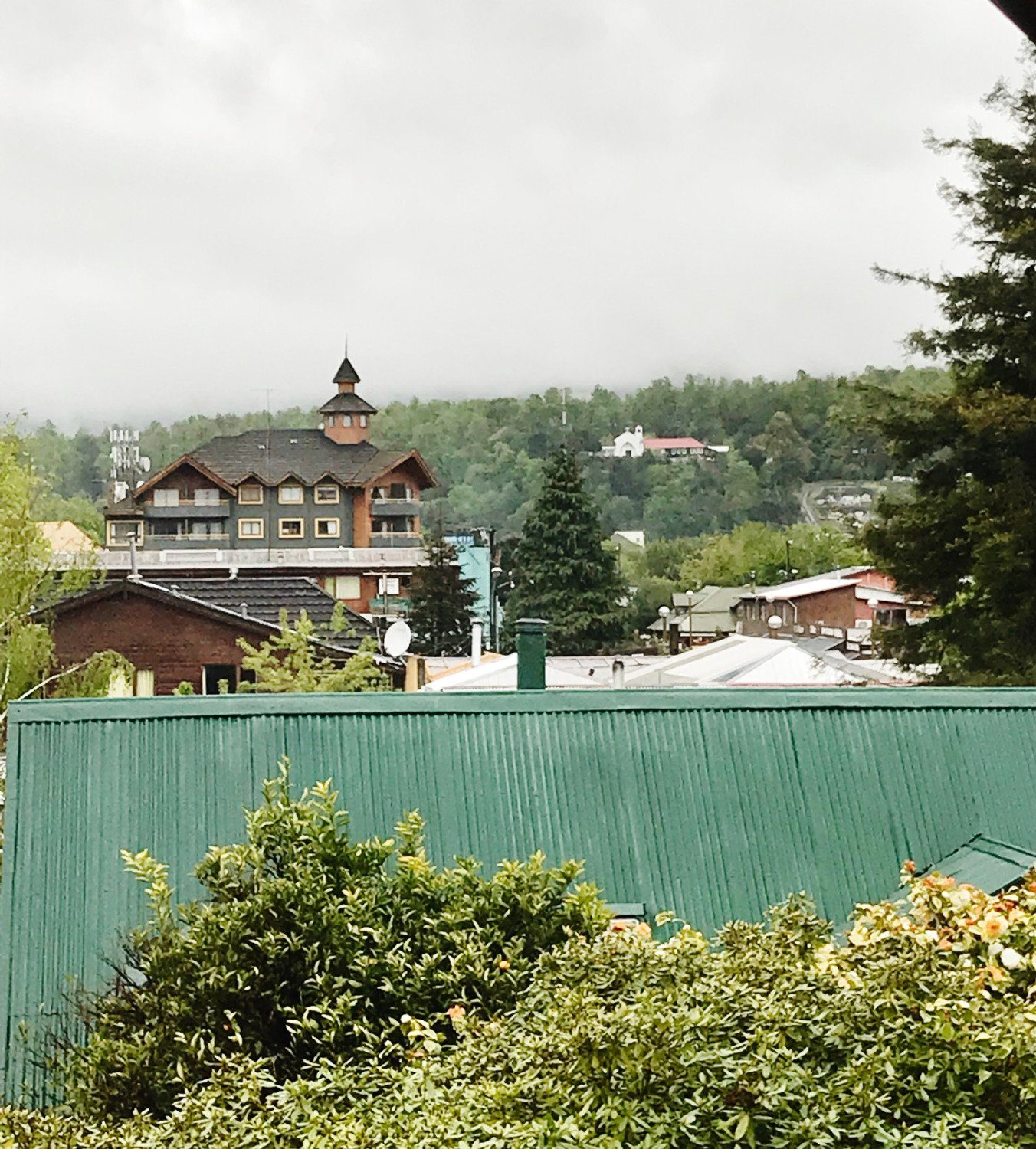 Cabanas y Hotel la Palmera Pucon