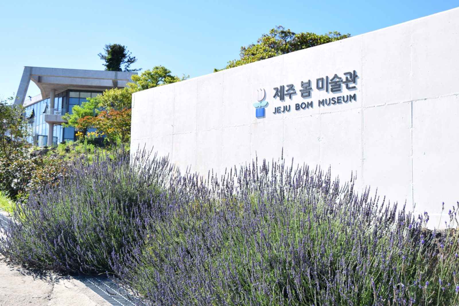Jeju Bom Stay