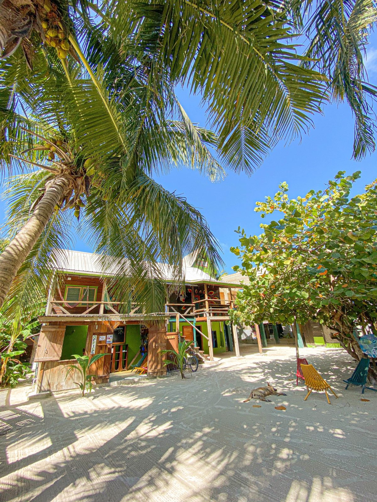 bella`s hotel caye caulker