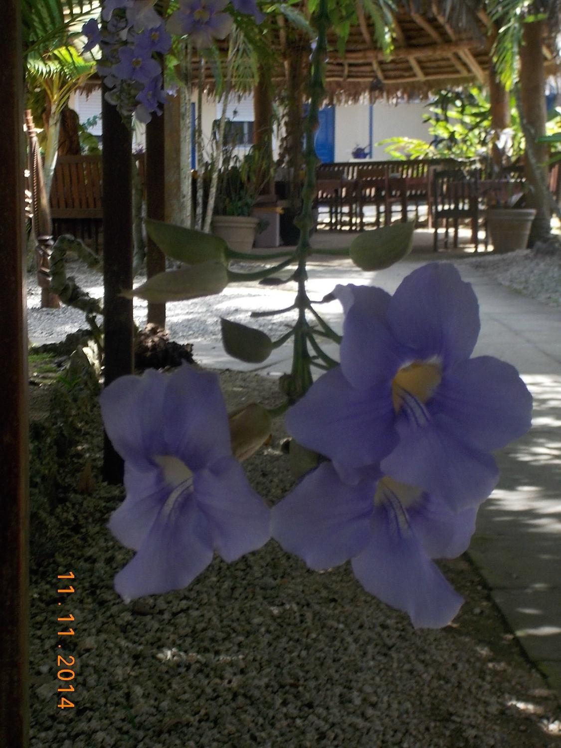 Vanuatu Holiday Hotel