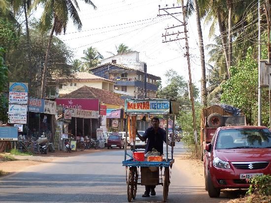 mapple viva goa calangute