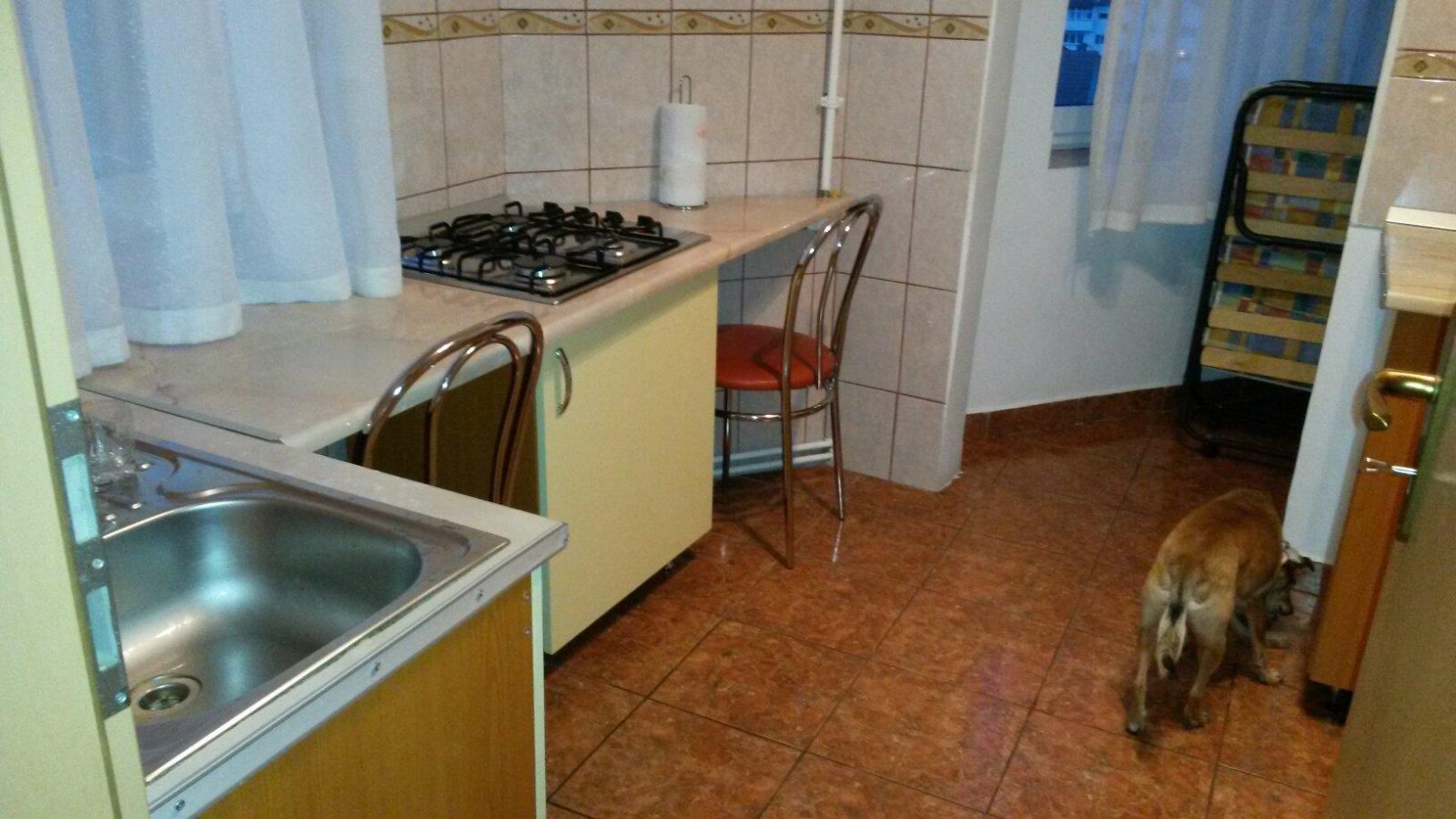 Pensiunea Amso Sibiu