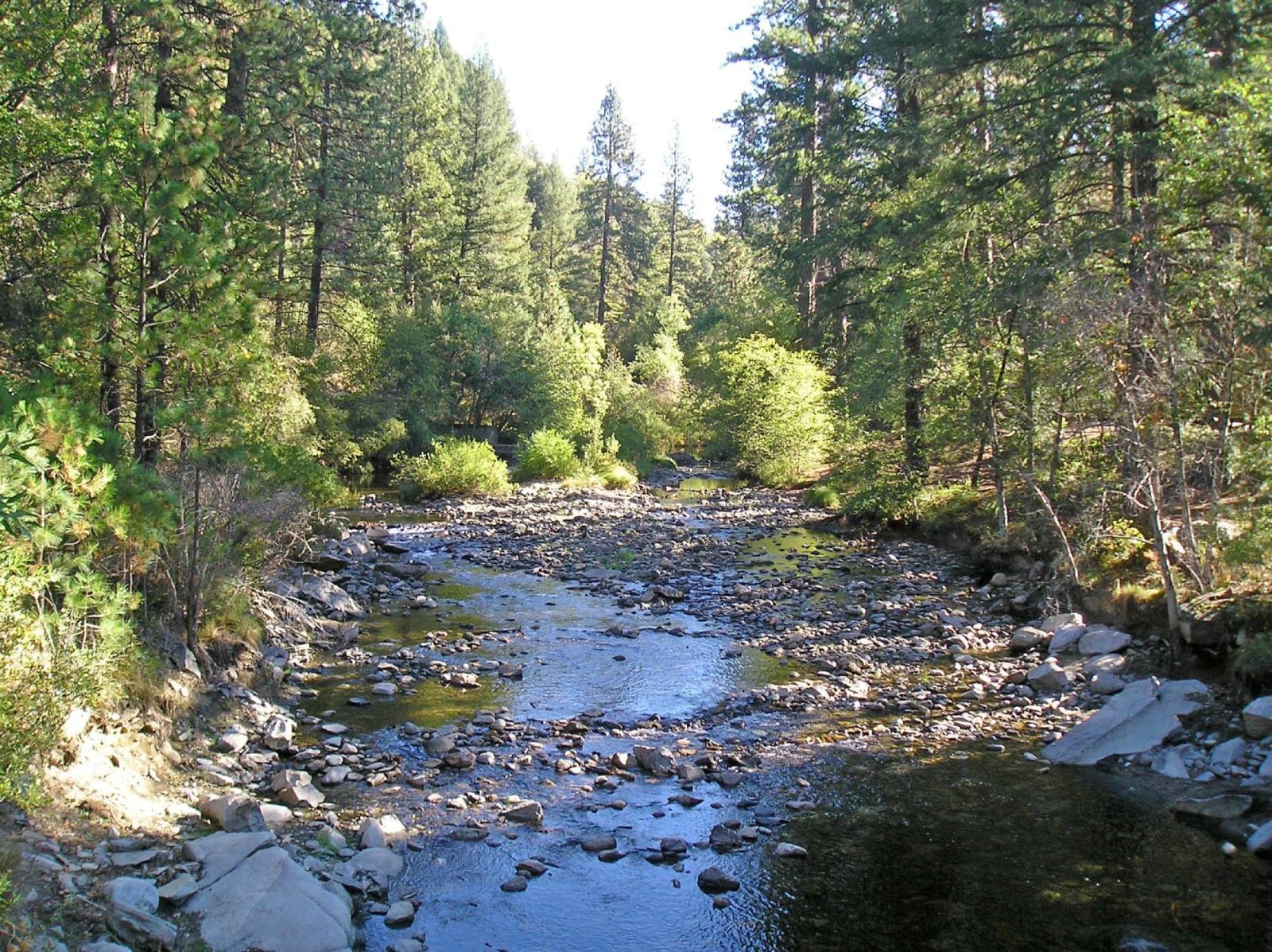 yosemite lakes cabins and hostel