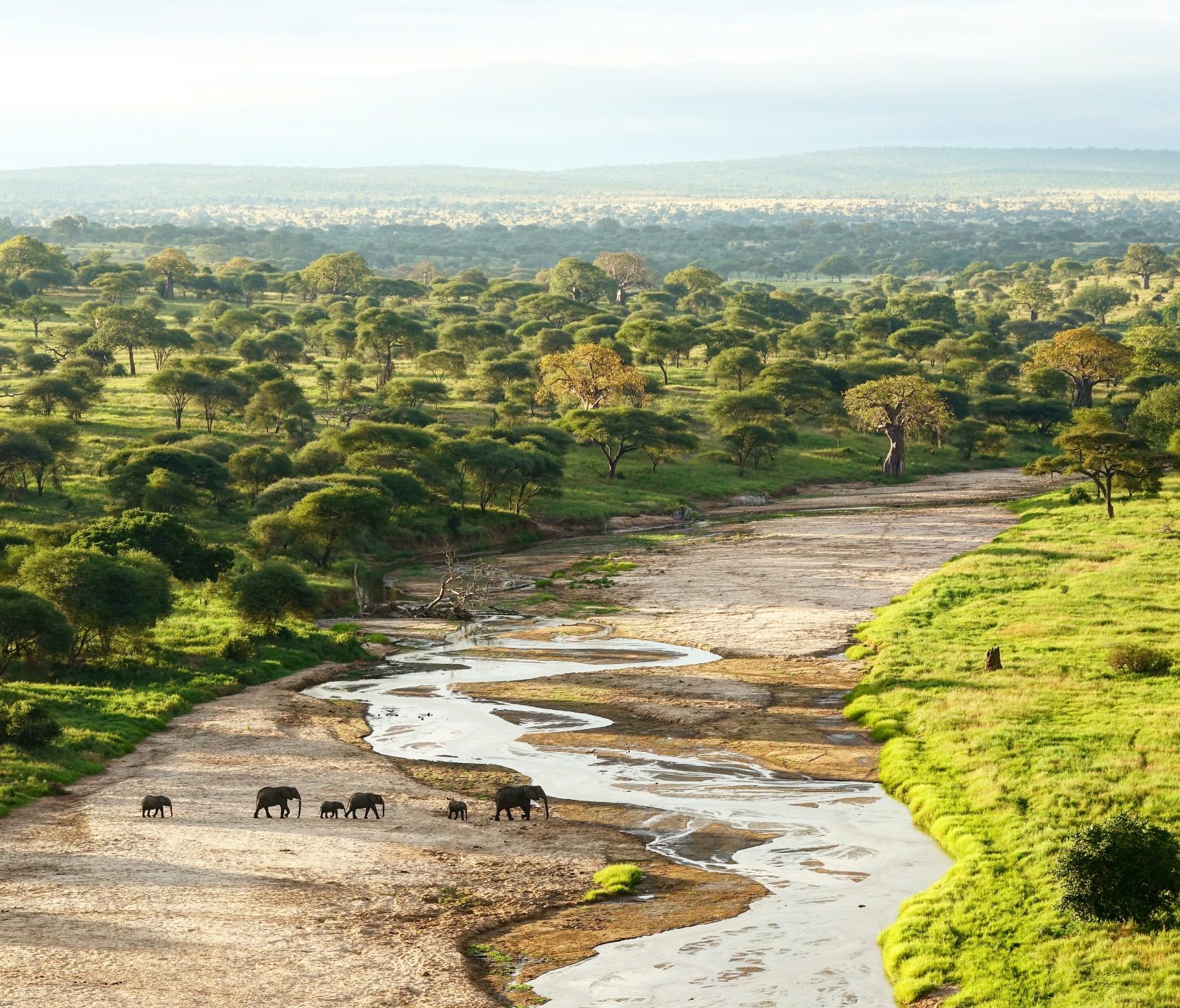 Tarangire Safari Lodge