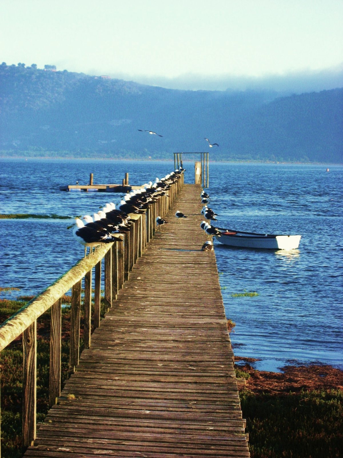 Waterfront Lodge