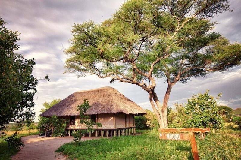 Mbali Mbali Tarangire River Camp
