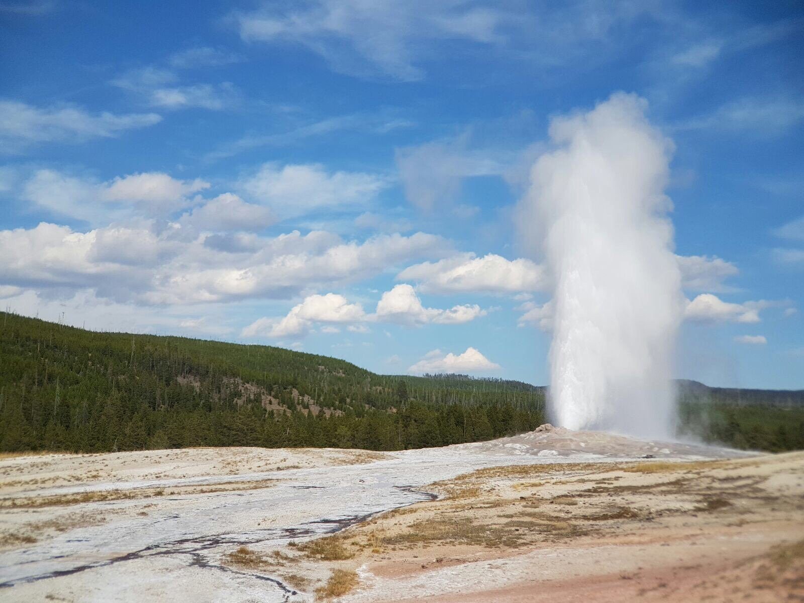yellowstone park west