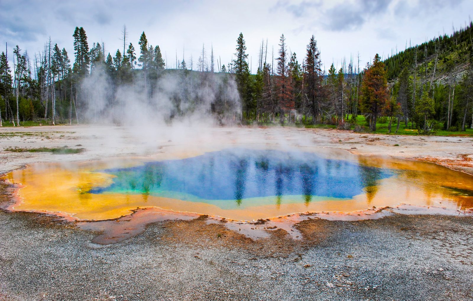 yellowstone park west