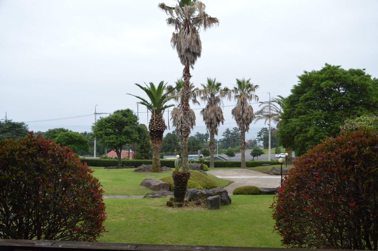 Sunnyday Jeju