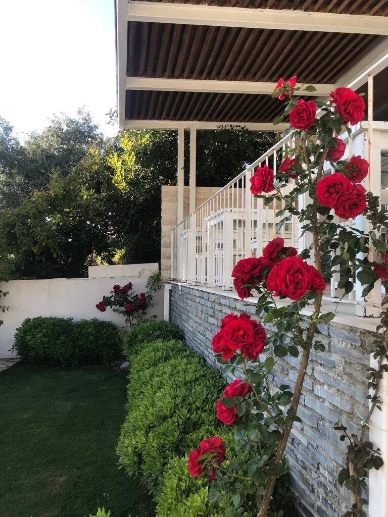 Zena Hotel Bodrum