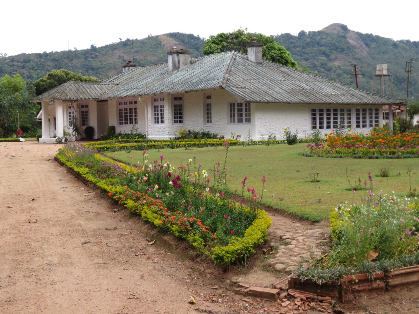 The Tea Sanctuary