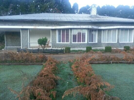 The Tea Sanctuary