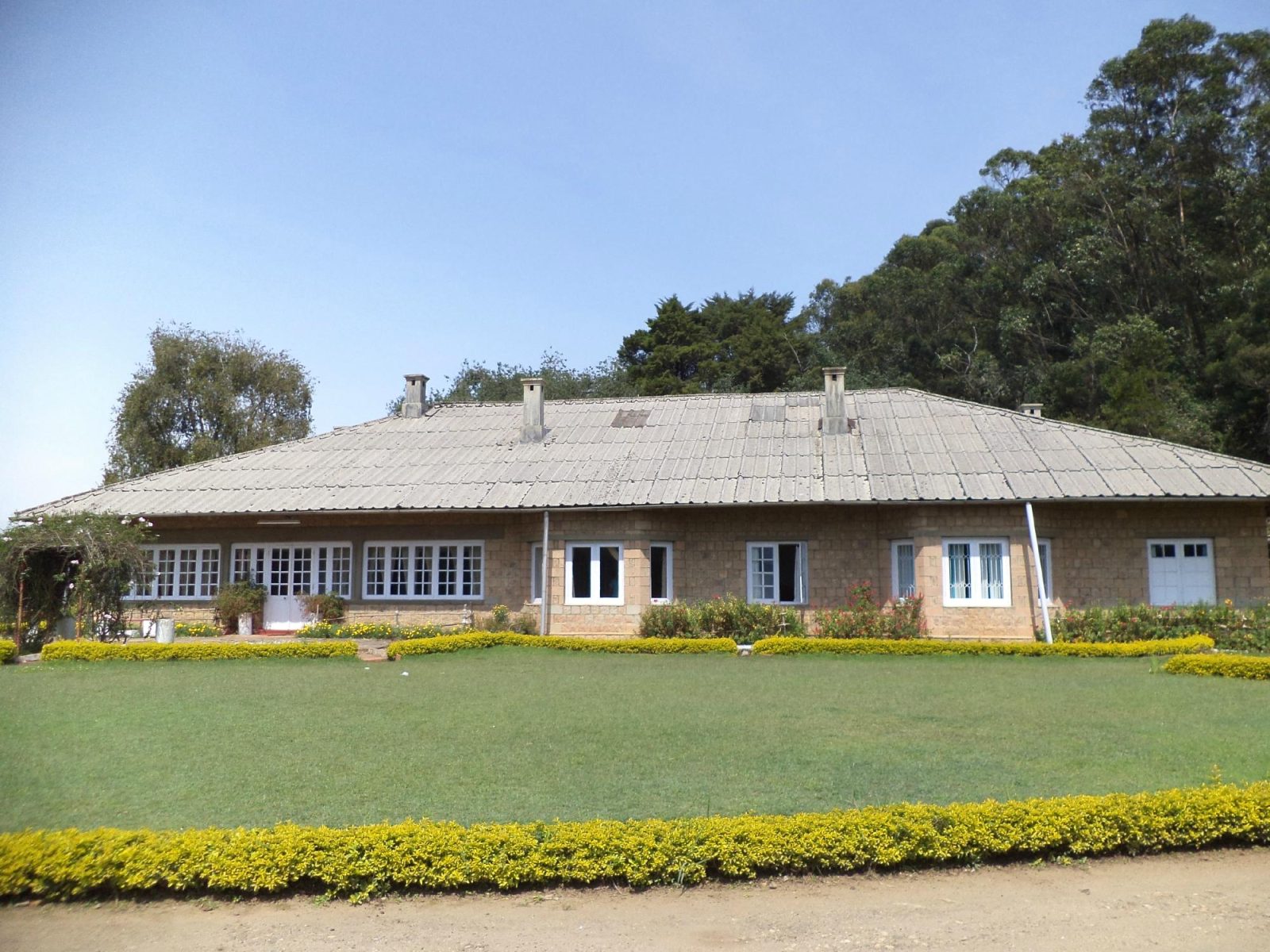 The Tea Sanctuary