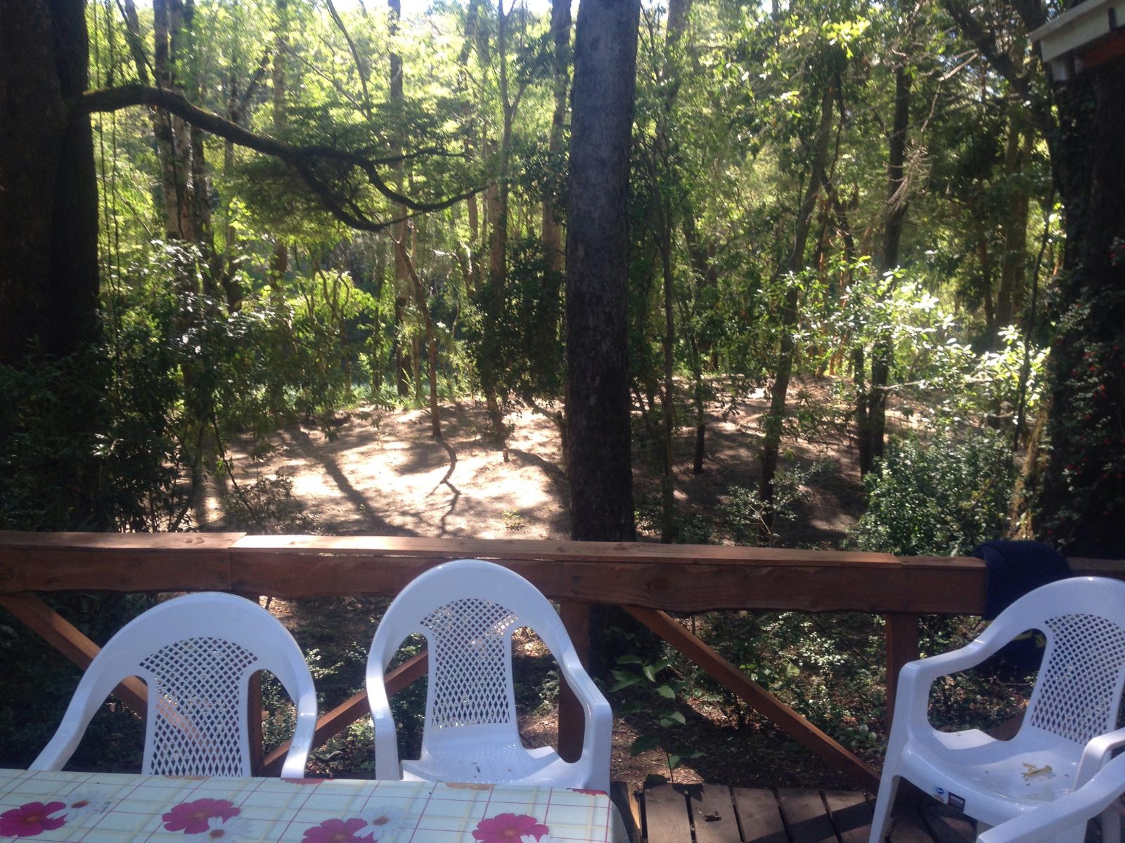 Tierra Escondida Cabanas Pucon