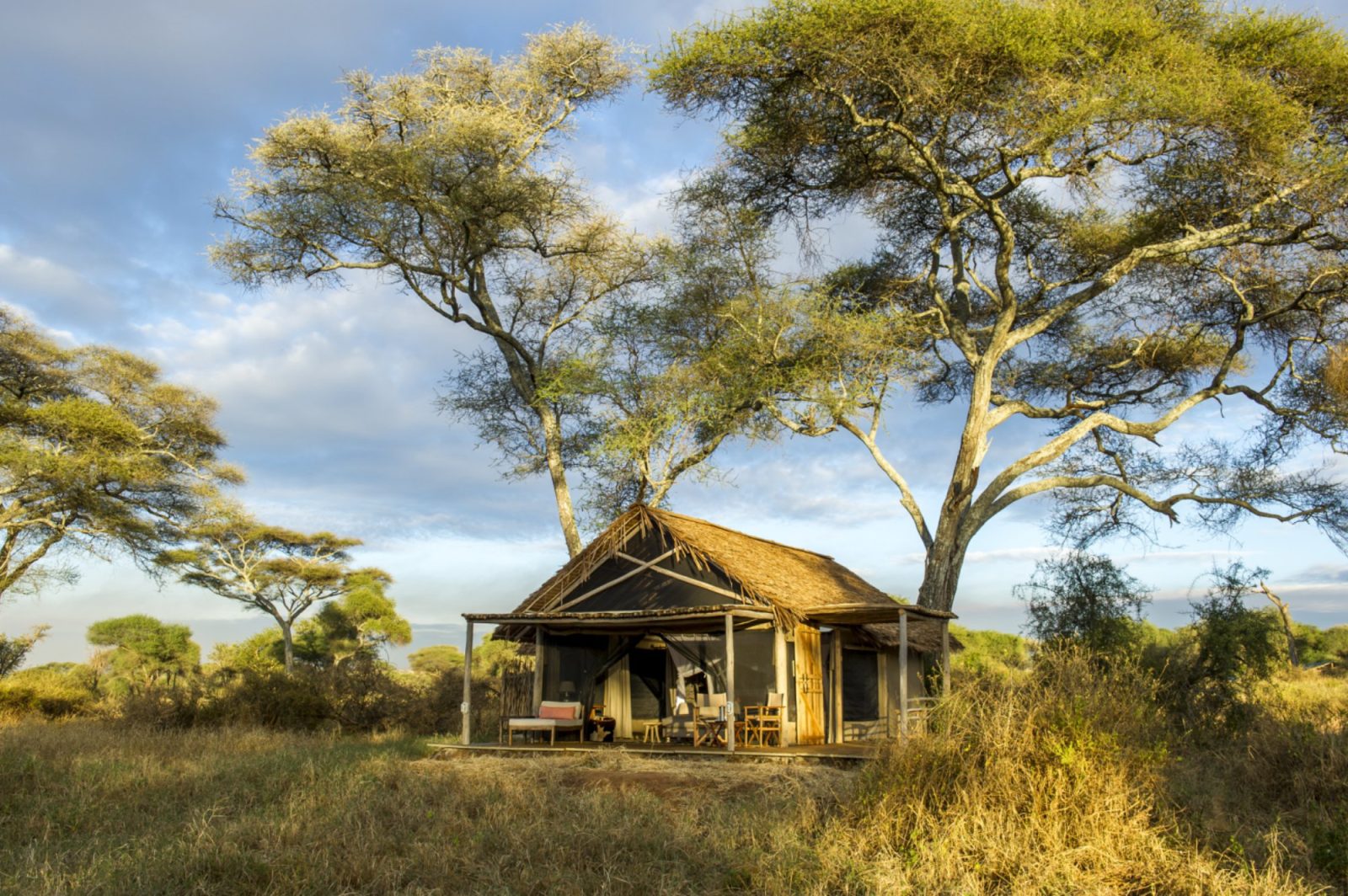 Kuro Tarangire, Nomad Tanzania