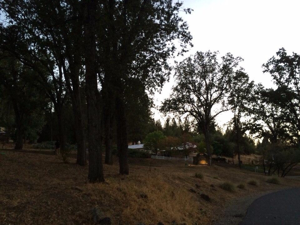 Yosemite International Hostel