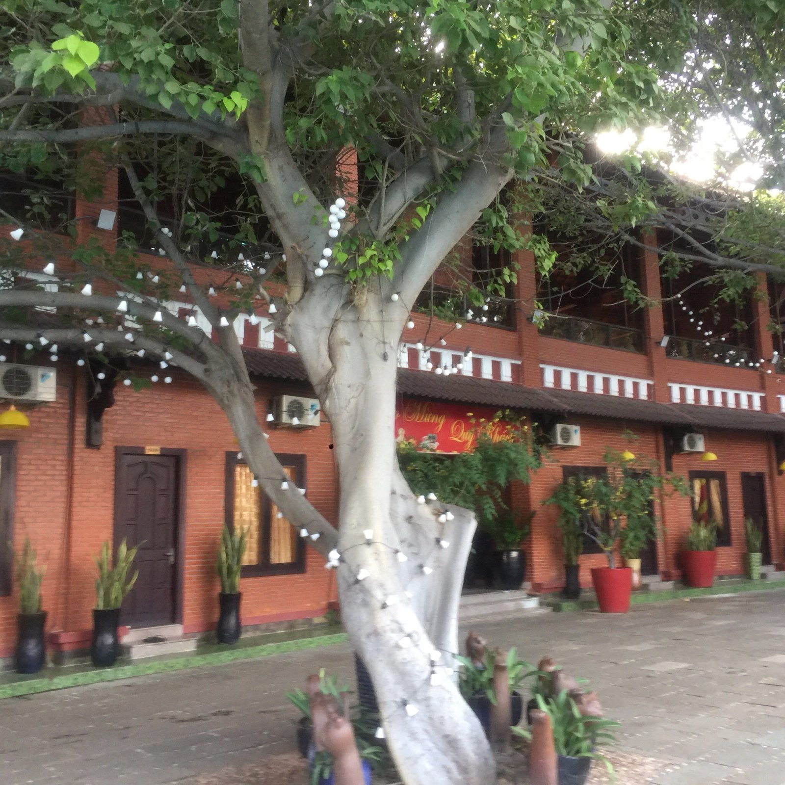 Peace Resort Mui NE