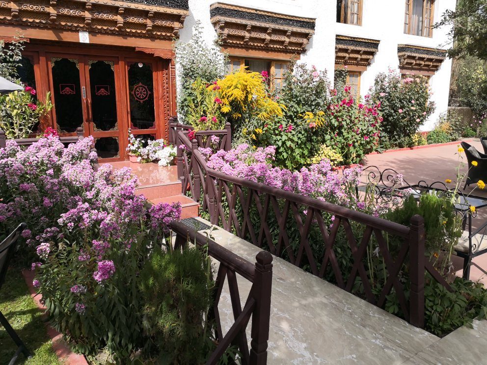 Lotus Hotel