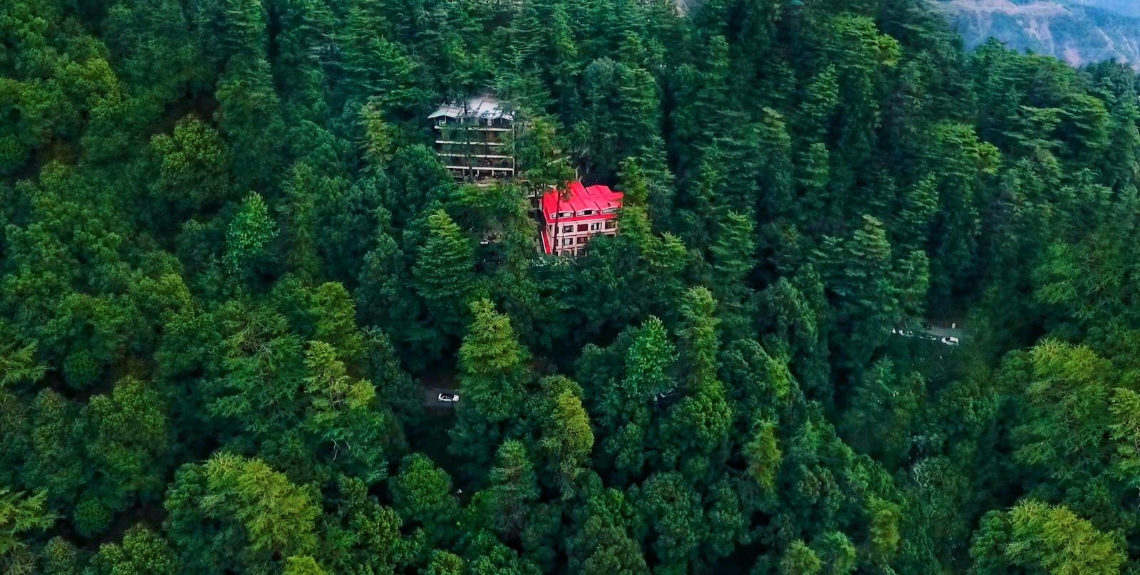 Fairmount Shimla Forest Greens