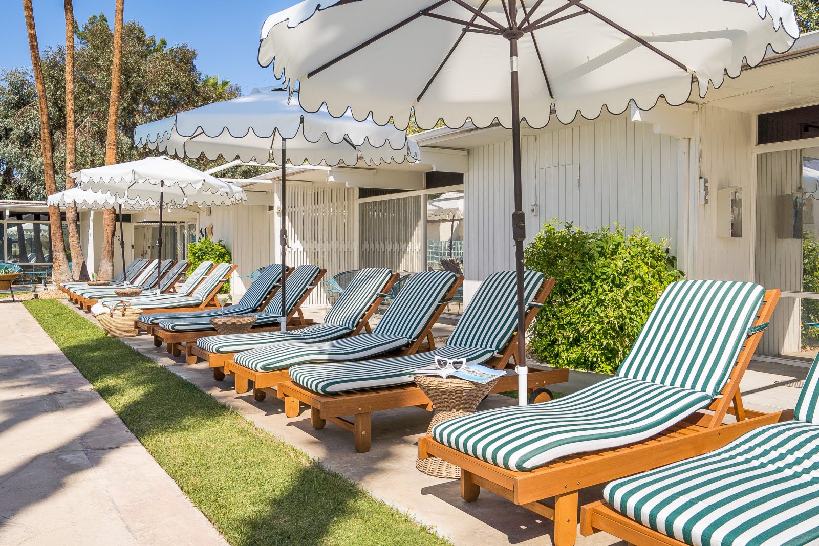 The Monkey Tree Hotel by AvantStay