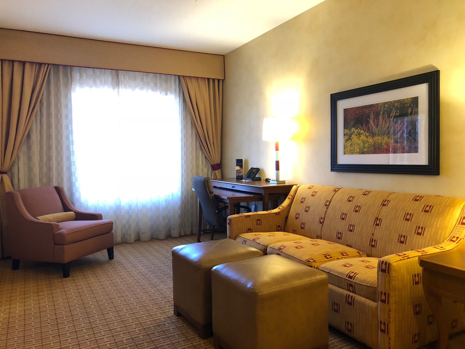 marriott mcdowell mountains