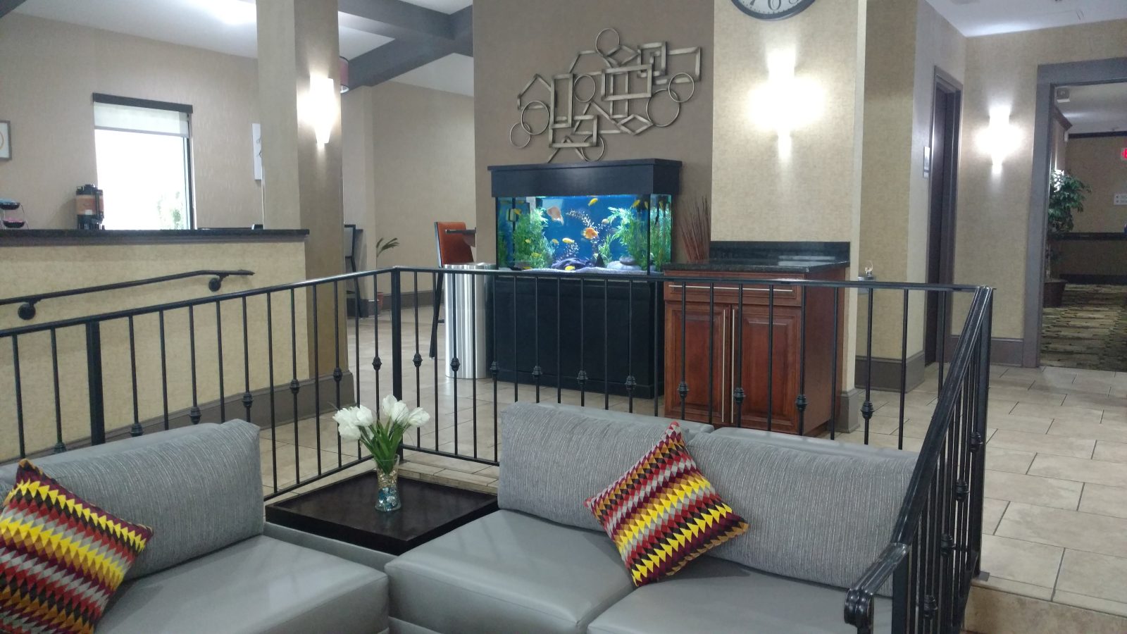 best western of asheville biltmore east hotel asheville
