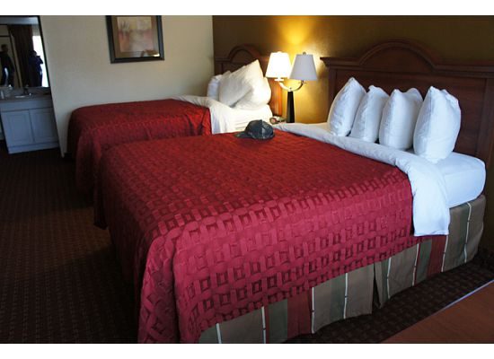 best western of asheville biltmore east hotel asheville