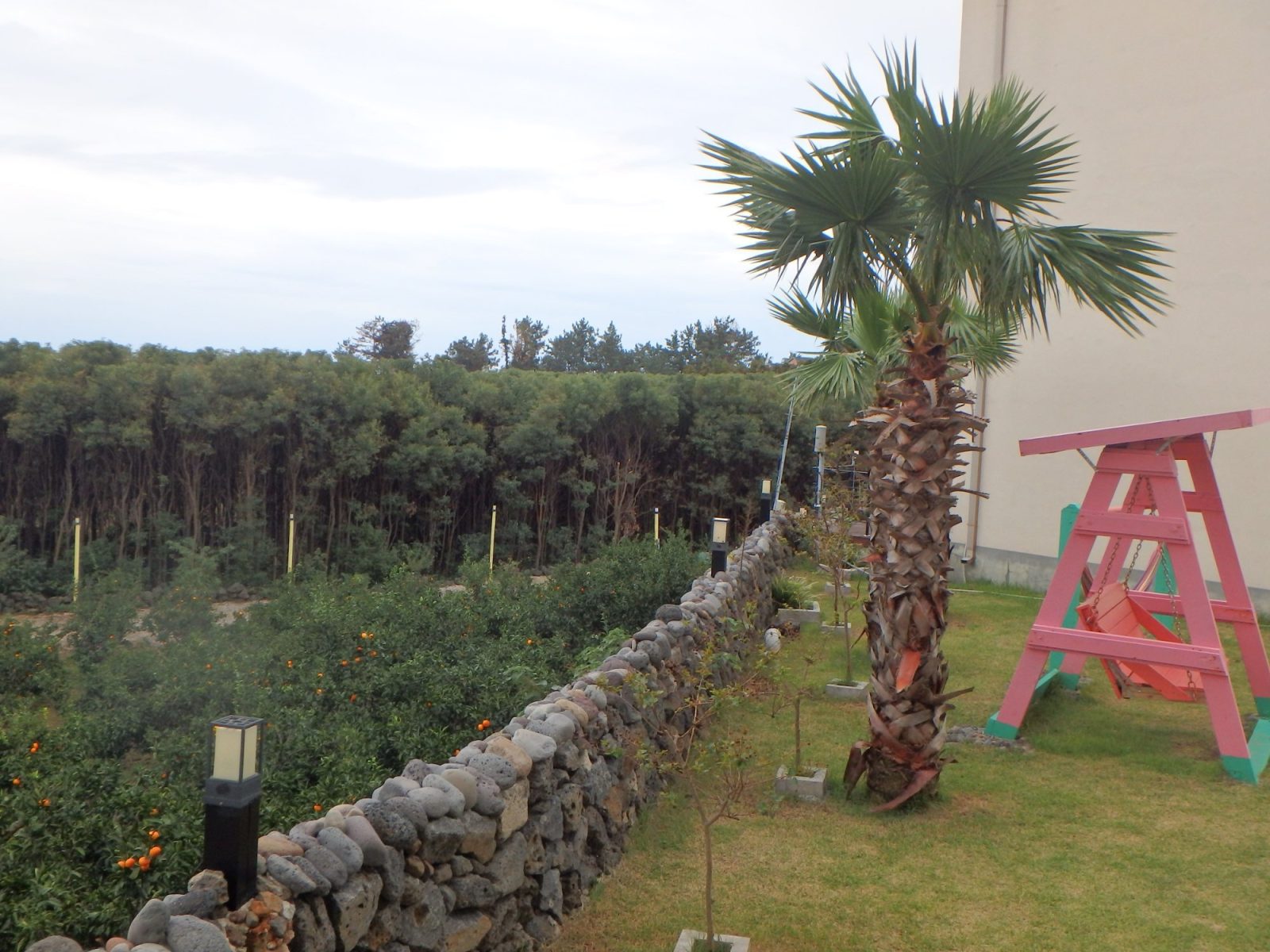 Stay In Jeju