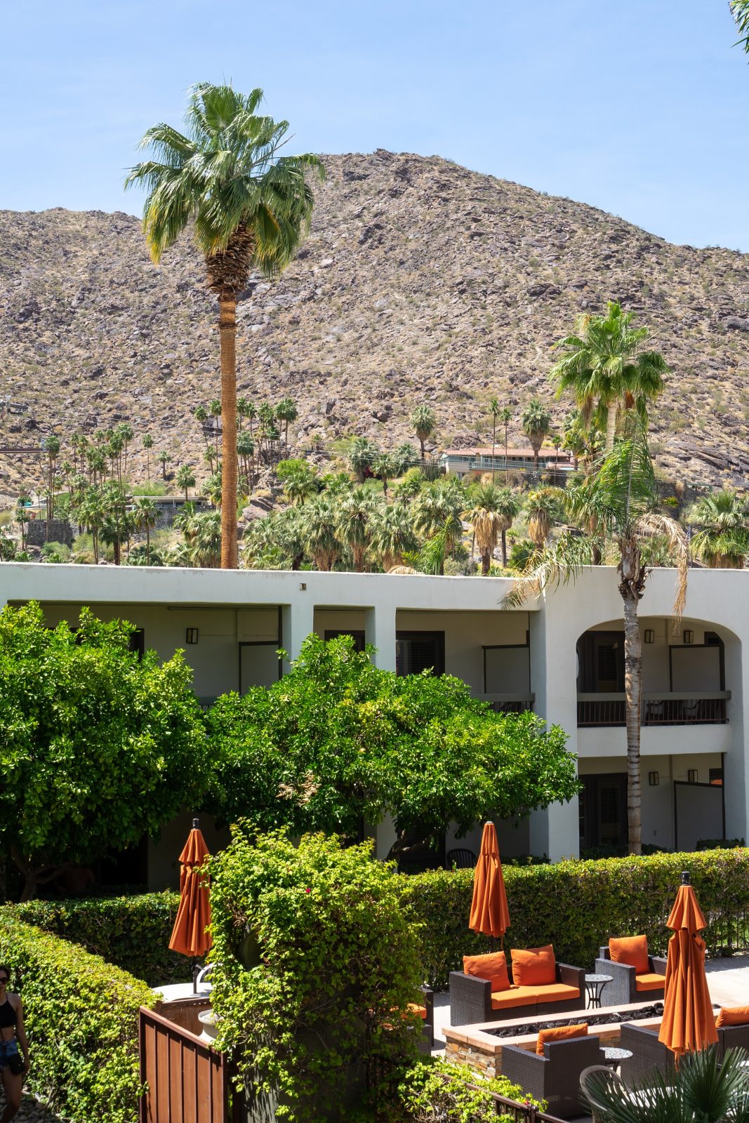 palm mountain resort and spa