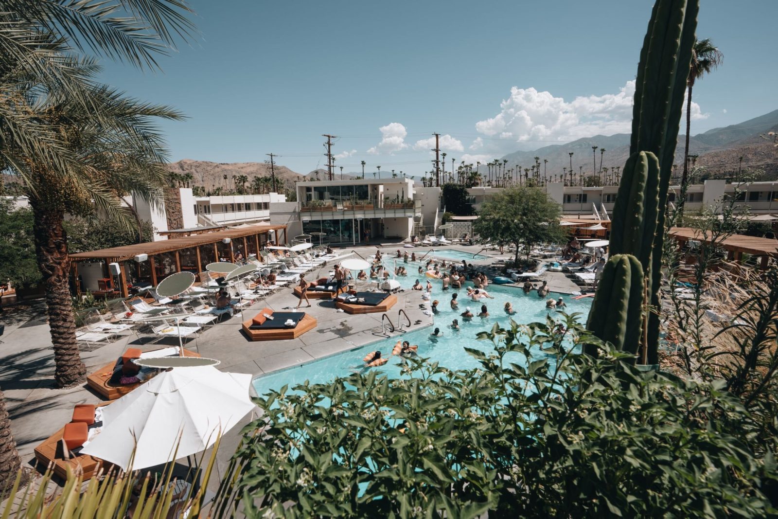ace hotel and swim