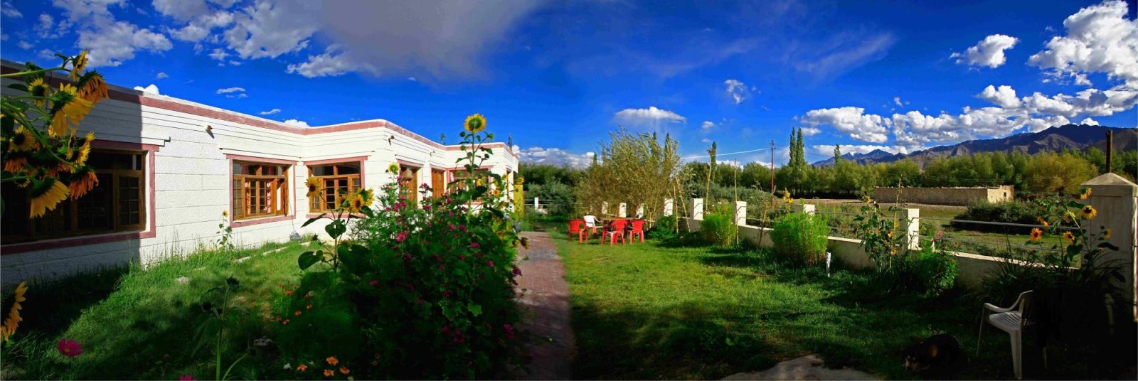 Hotel Dewachan Leh