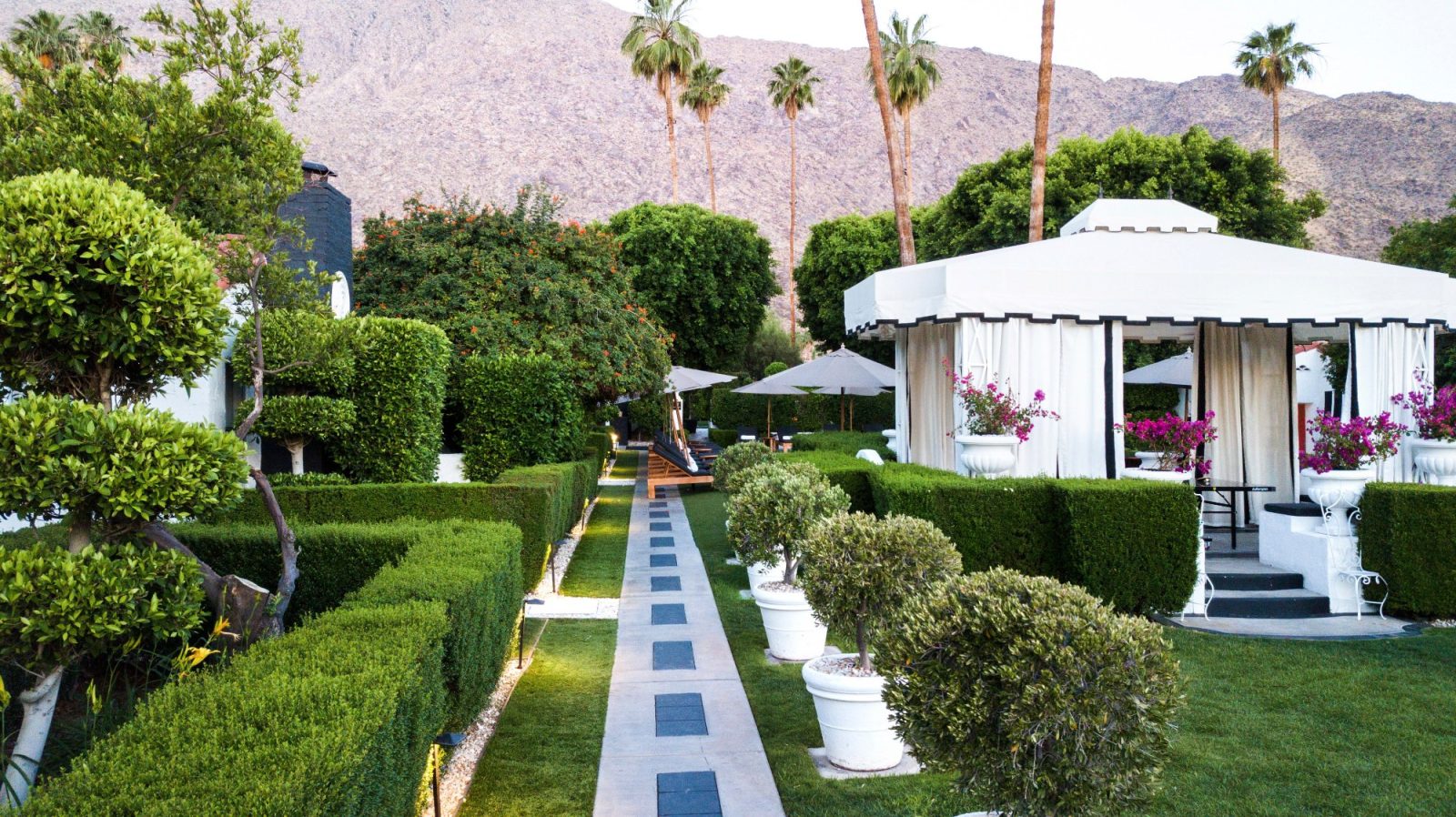 viceroy palm springs hotel palm springs