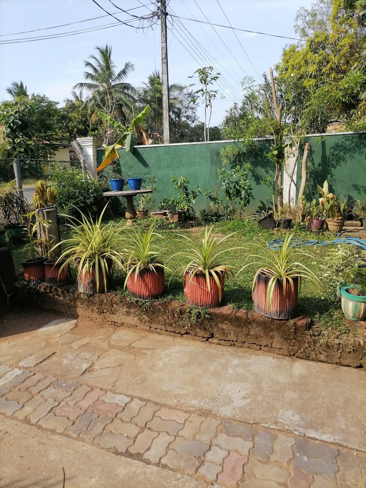 The Residence Hotel Polonnaruwa