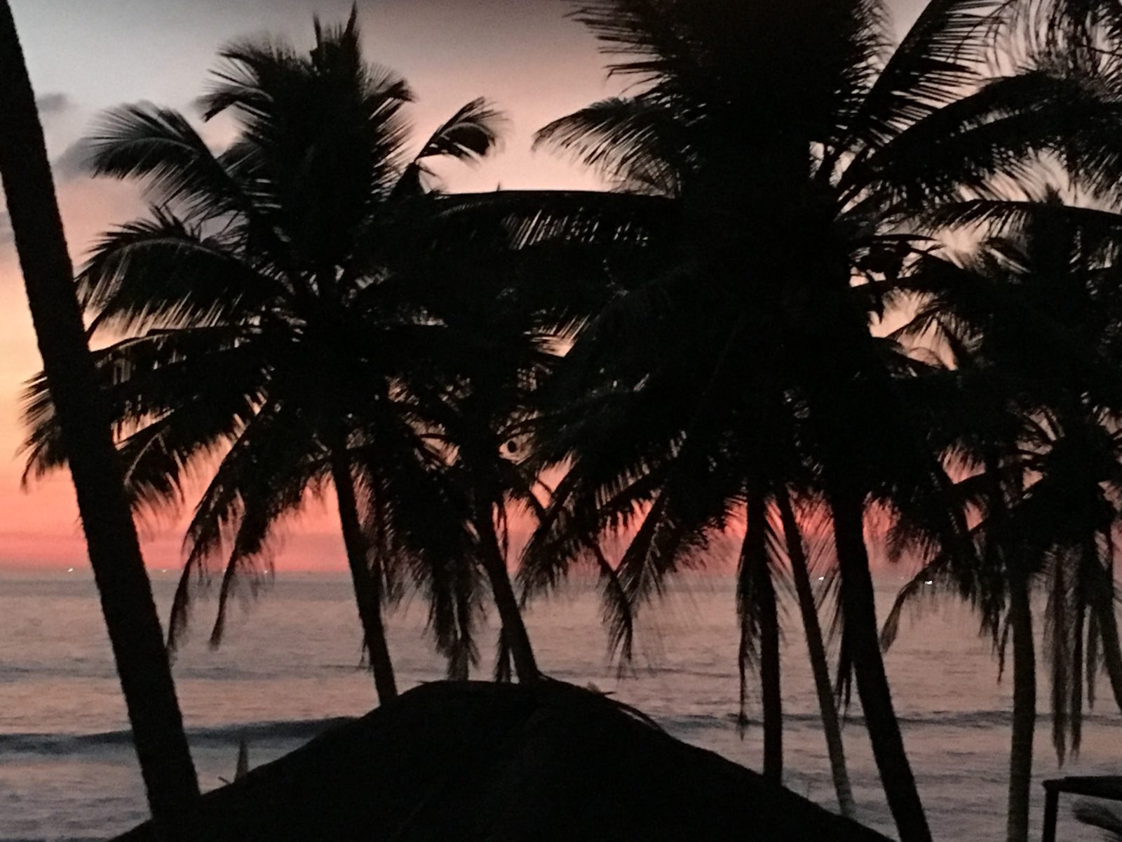 Mandala Beach Hikkaduwa