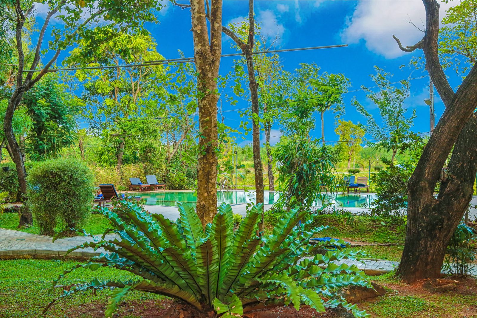 pelwehera village hotel dambulla