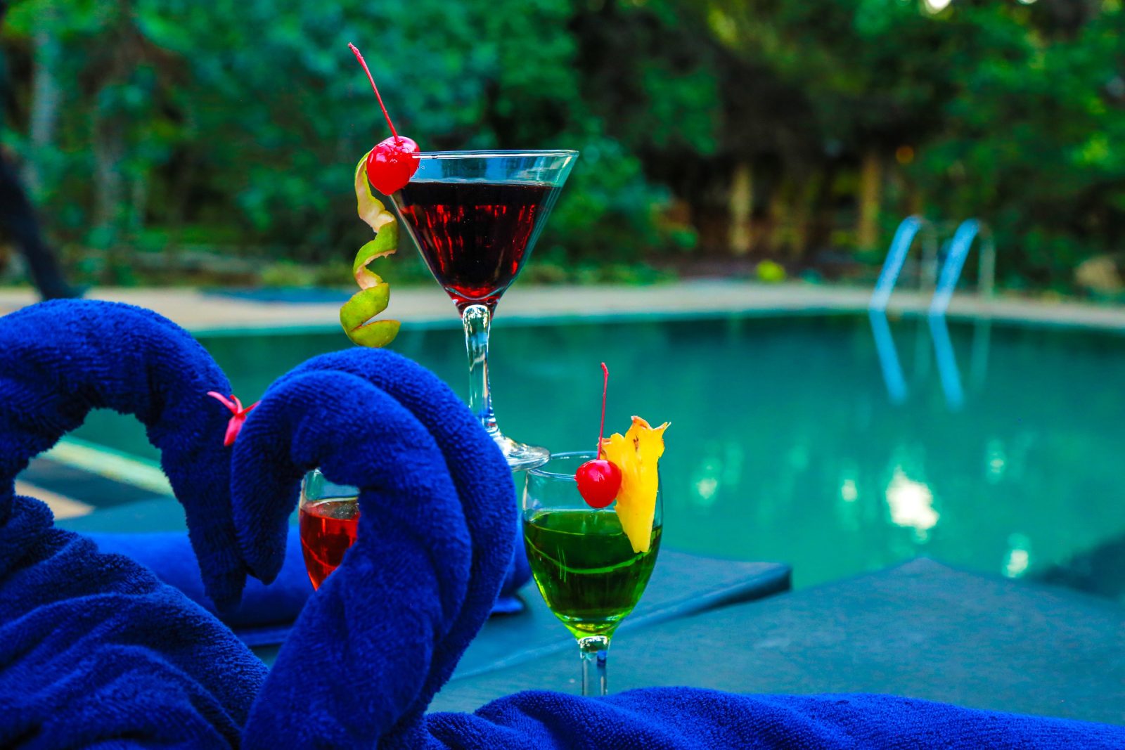 pelwehera village hotel dambulla