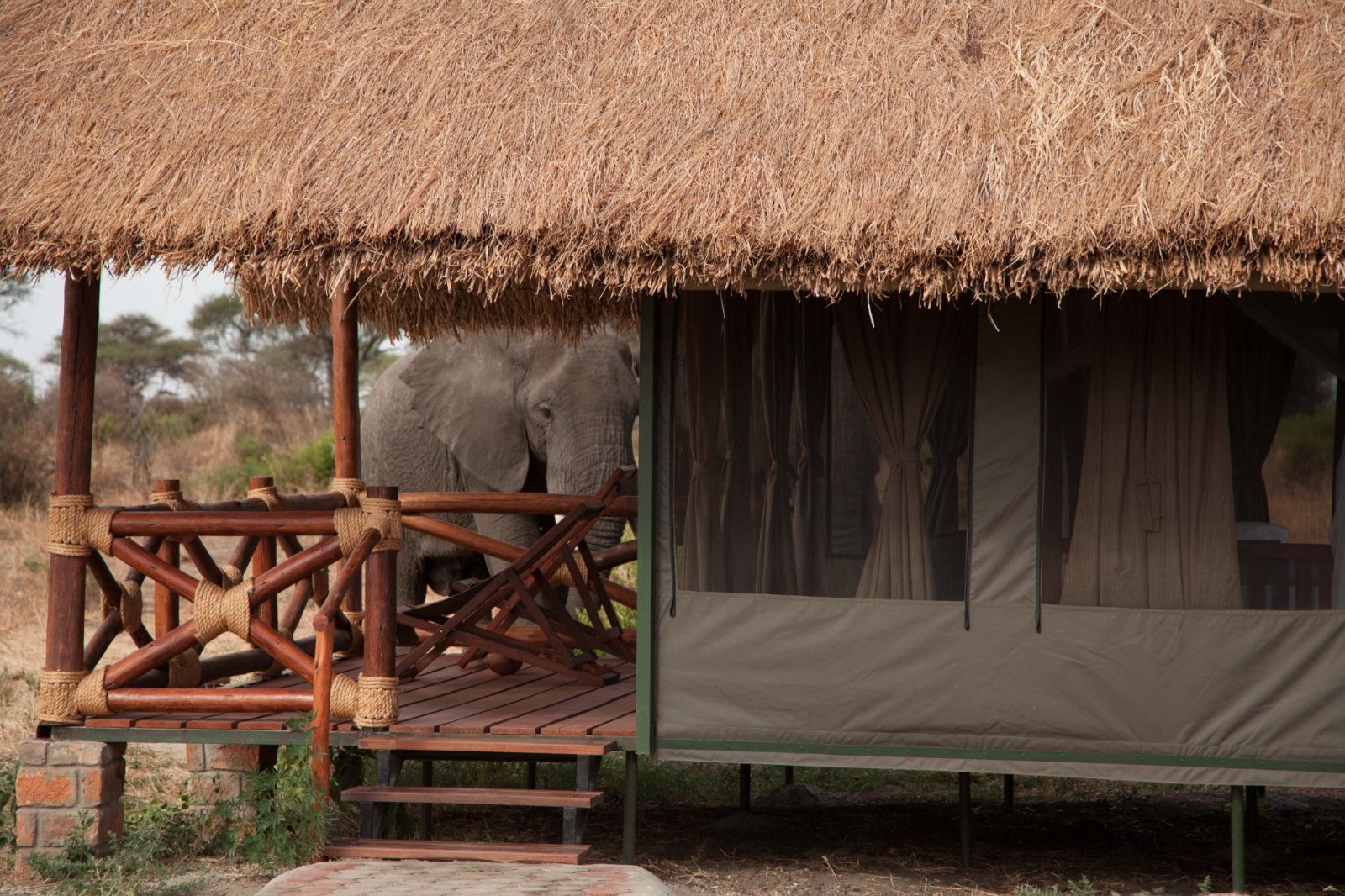 Tarangire Simba Lodge