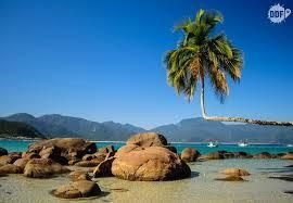 Bambu Brasil Suites Ilha Grande